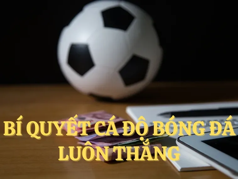 Tìm Hiểu Cá Cược Bóng Đá DV88: Hành Trang Cho Người Mới 2 Tìm Hiểu Cá Cược Bóng Đá DV88: Hành Trang Cho Người Mới