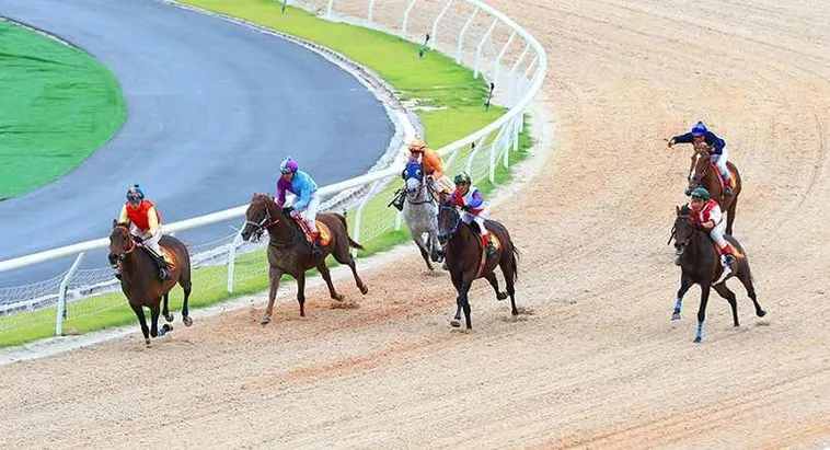 Tìm Hiểu Cá Cược Đua Ngựa DV88: Hành Trình Kịch Tính